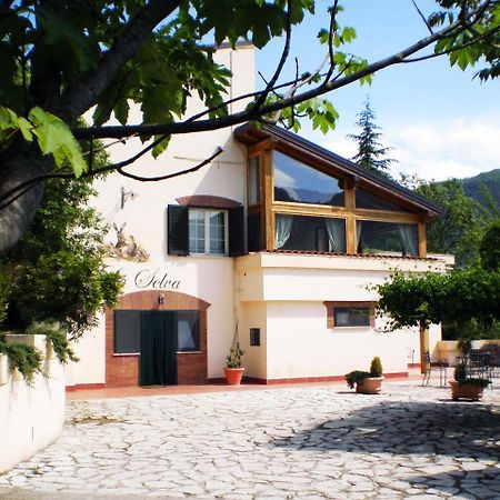 Agriturismo La Selva Rieti Bagian luar foto